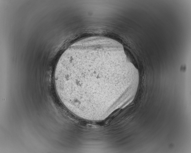 X0000111940739200908241140