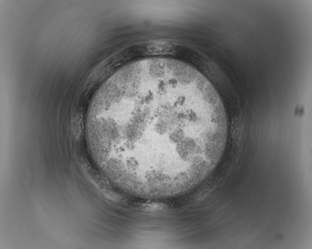 X0000111940741200908241140