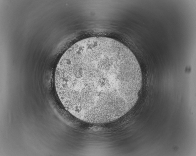 X0000111940742200908241140