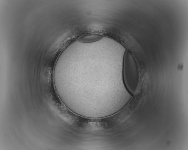 X0000111940744200908241140
