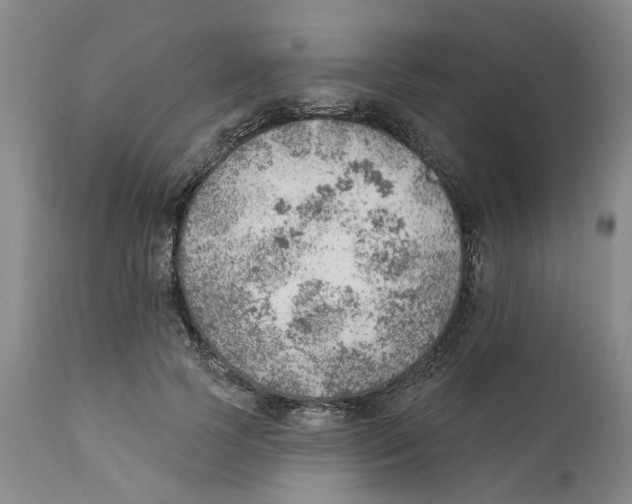 X0000111940745200908241140