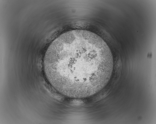 X0000111940749200908241140