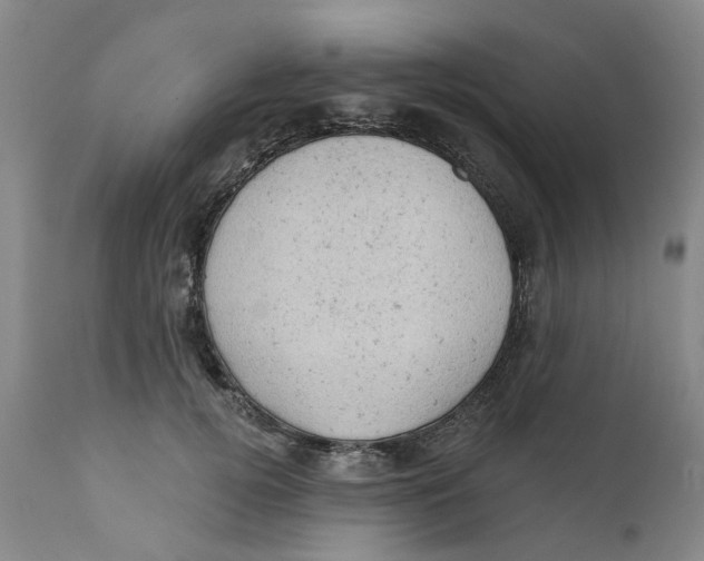 X0000111940752200908241140