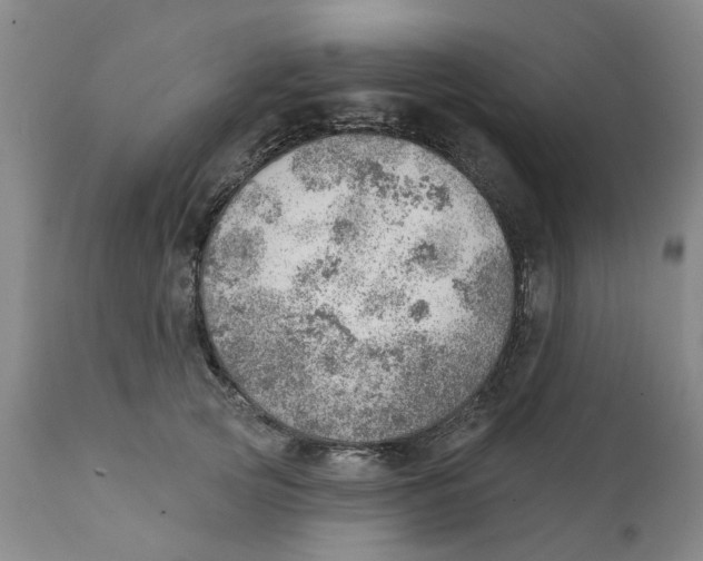X0000111940753200908241140