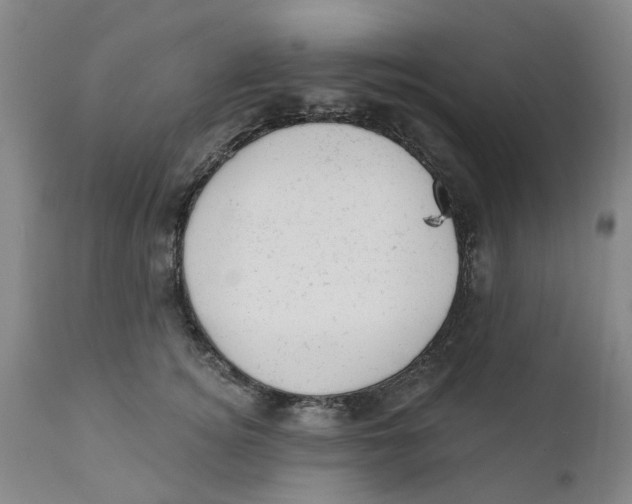 X0000111940756200908241140