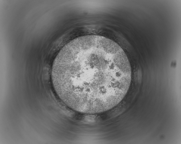 X0000111940757200908241140