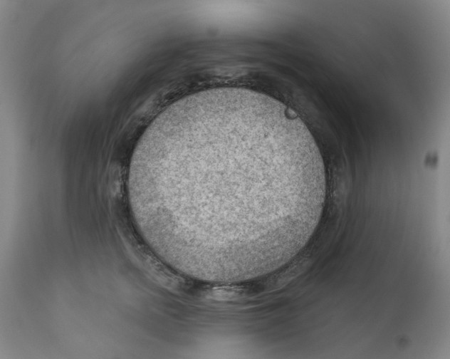 X0000111940758200908241140