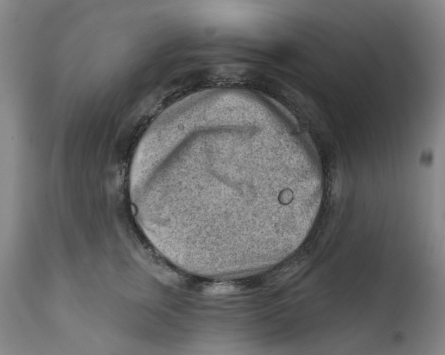 X0000111940759200908241140