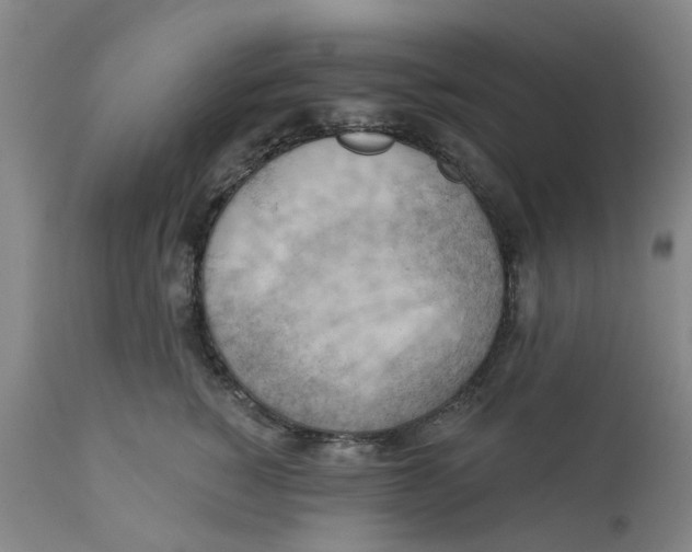 X0000111940760200908241140