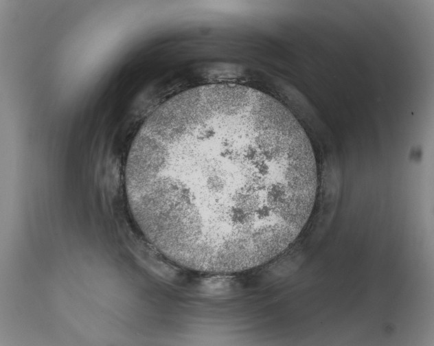 X0000111940761200908241140