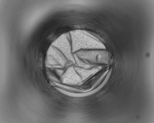 X0000111940762200908241140