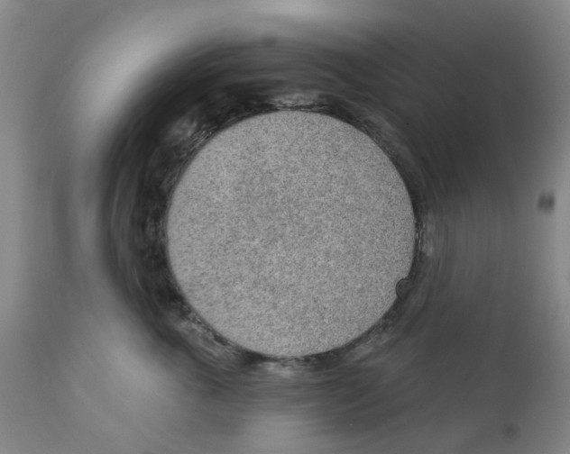 X0000111940763200908241140