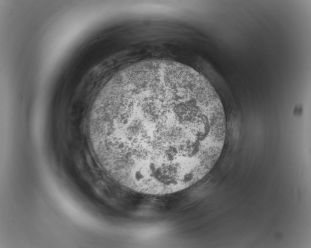 X0000111940765200908241140
