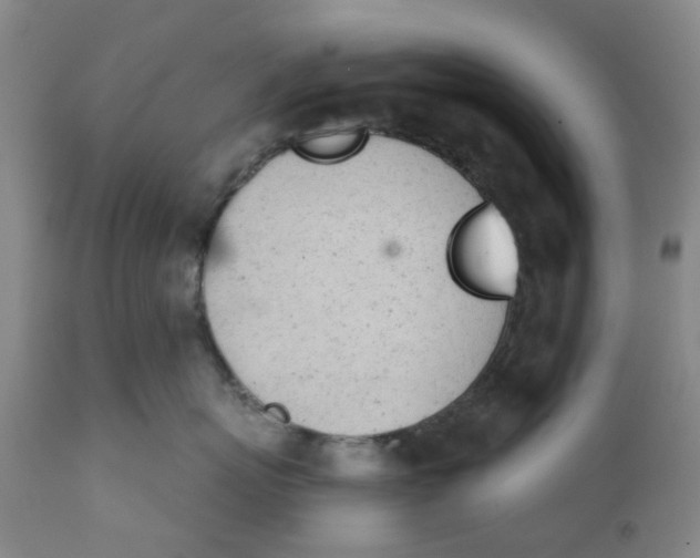 X0000111940767200908241140