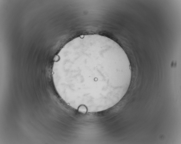 X0000111940768200908241140