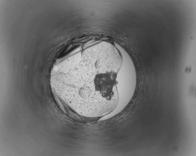 X0000111940769200908241139