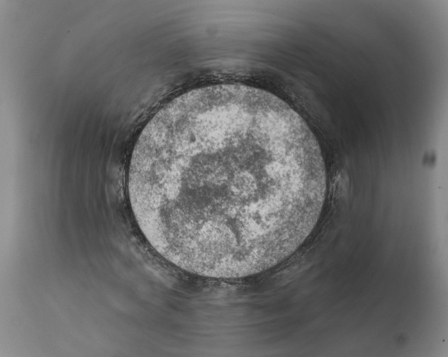 X0000111940772200908241139