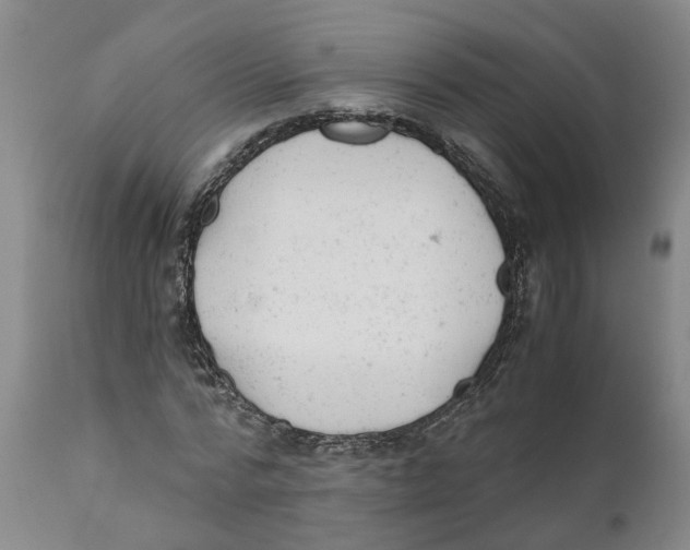 X0000111940776200908241139