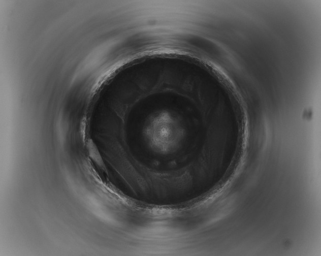 X0000111940777200908241139