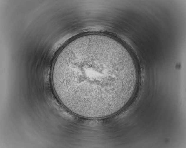 X0000111940778200908241139