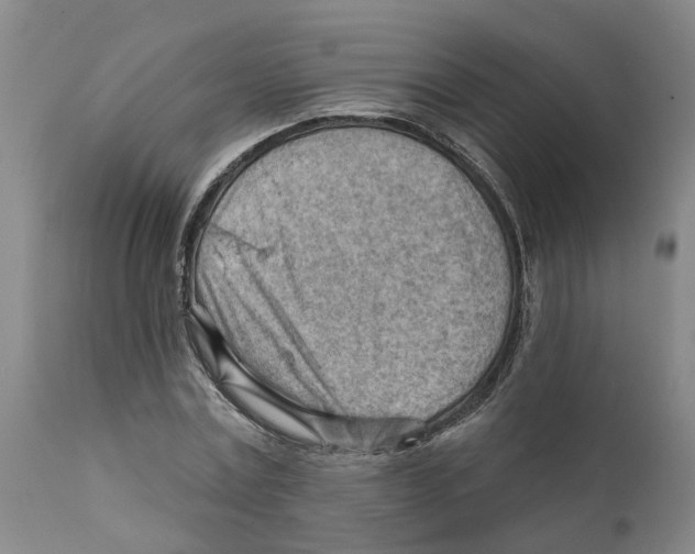 X0000111940779200908241139