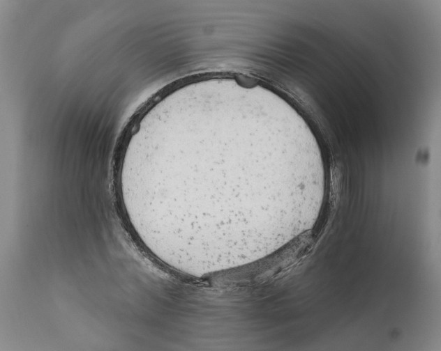 X0000111940780200908241139