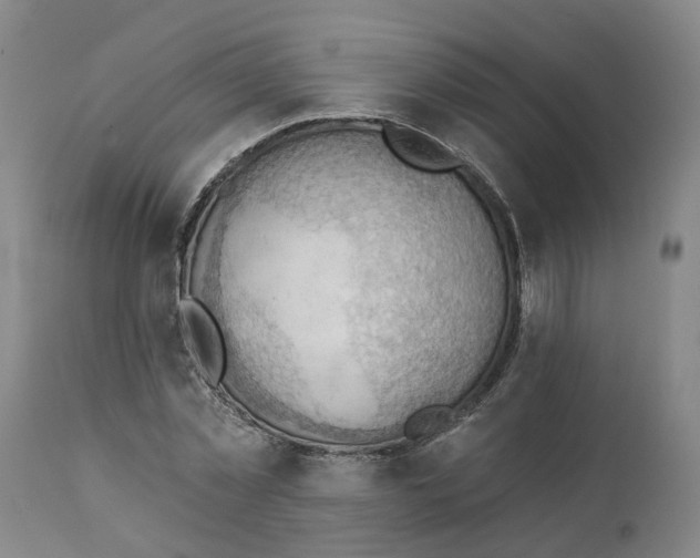 X0000111940781200908241139