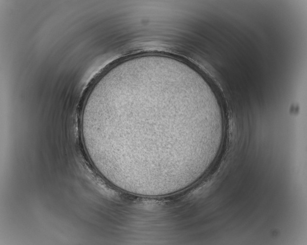 X0000111940782200908241139