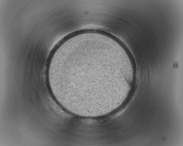 X0000111940783200908241139