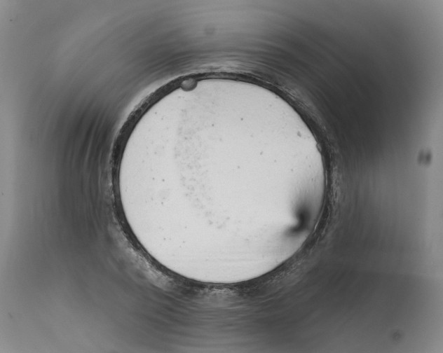 X0000111940784200908241139