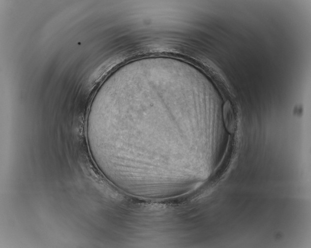 X0000111940785200908241139