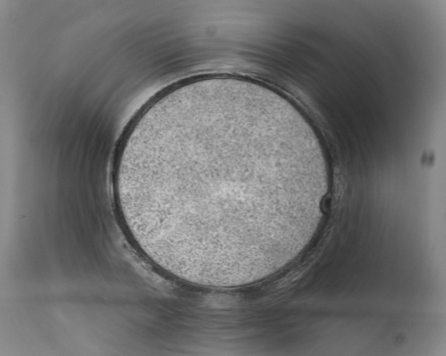 X0000111940788200908241139