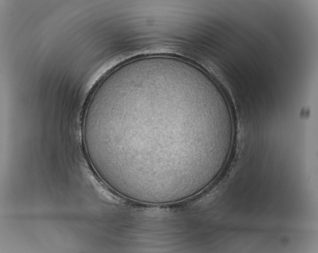 X0000111940789200908241139