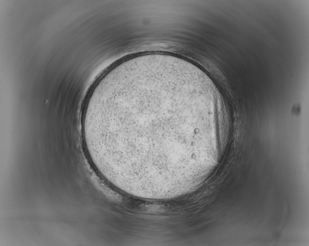 X0000111940792200908241139