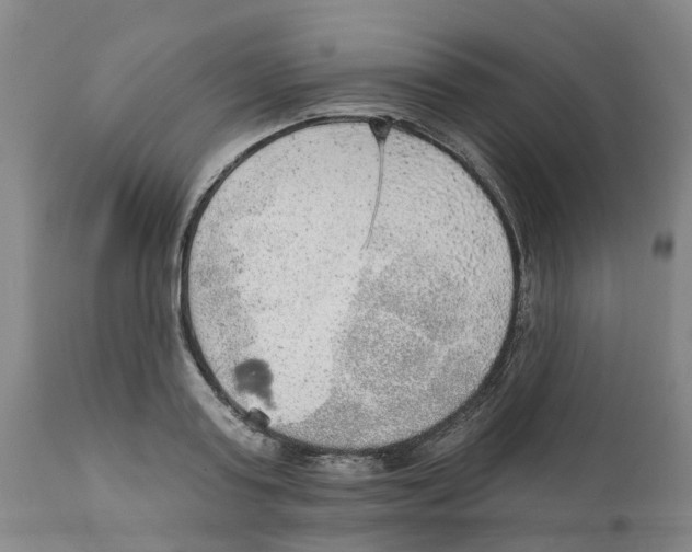 X0000111940795200908241139