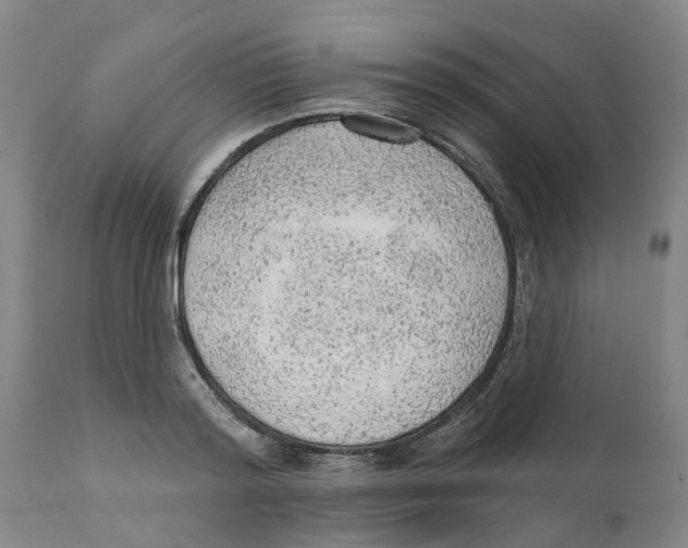 X0000111940796200908241139