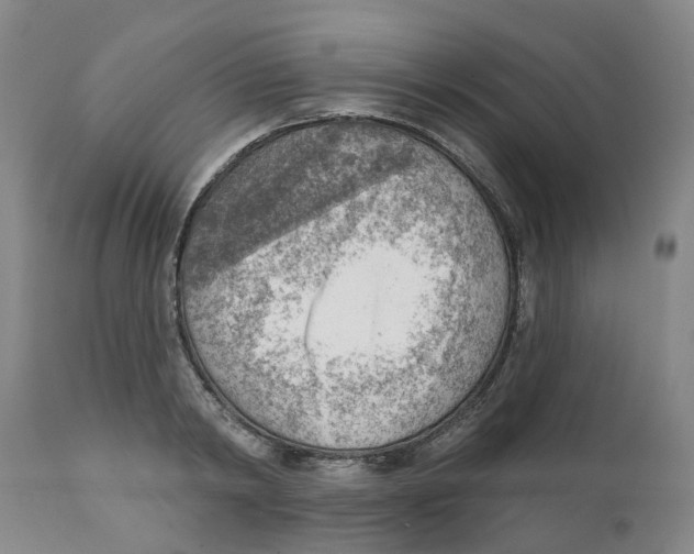 X0000111940798200908241139