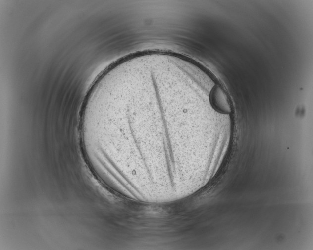 X0000111940799200908241139