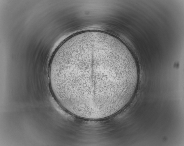 X0000111940800200908241139