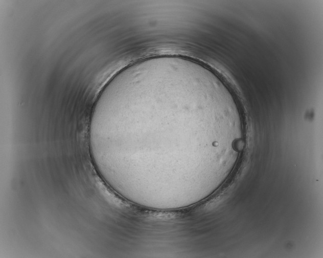 X0000111940801200908241139