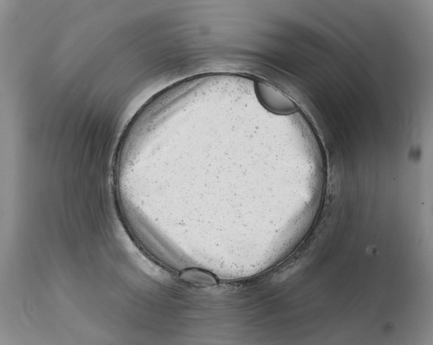 X0000111940803200908241139