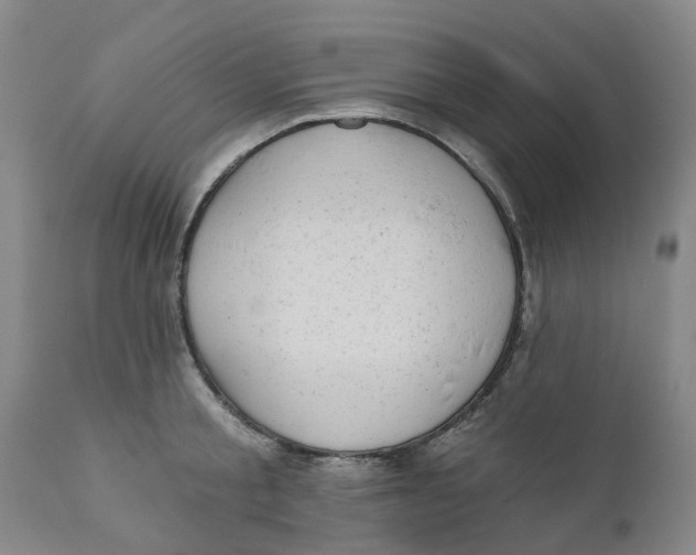 X0000111940805200908241139