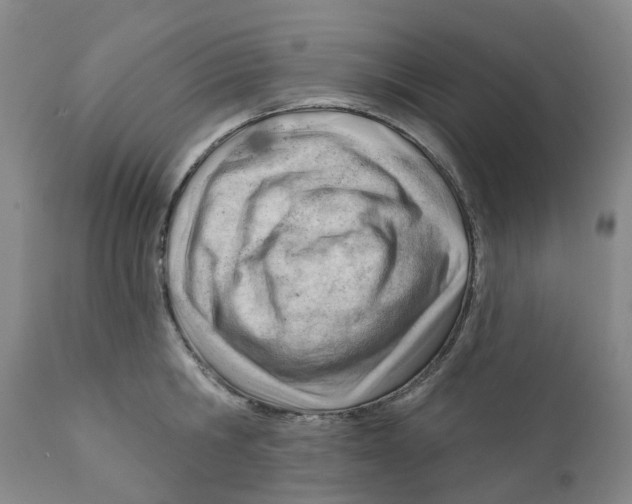 X0000111940806200908241139