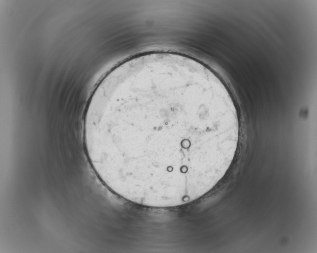 X0000111940807200908241139