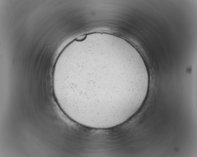 X0000111940808200908241139