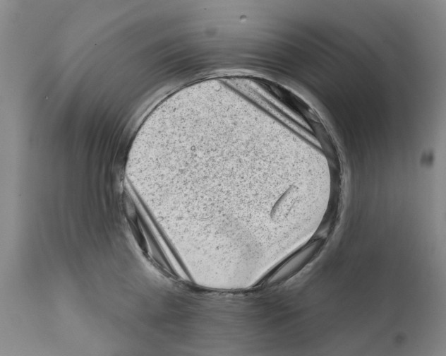 X0000111940809200908241139