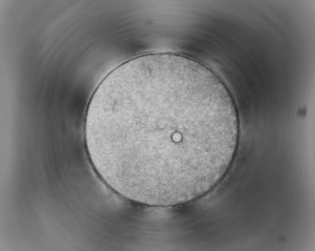 X0000111940810200908241139