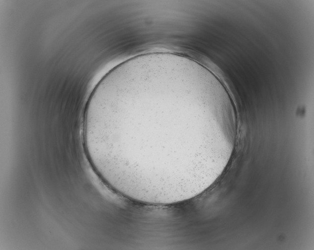 X0000111940811200908241139