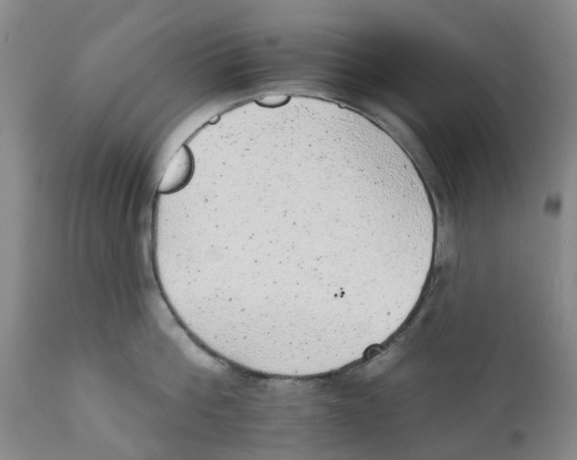 X0000111940812200908241139