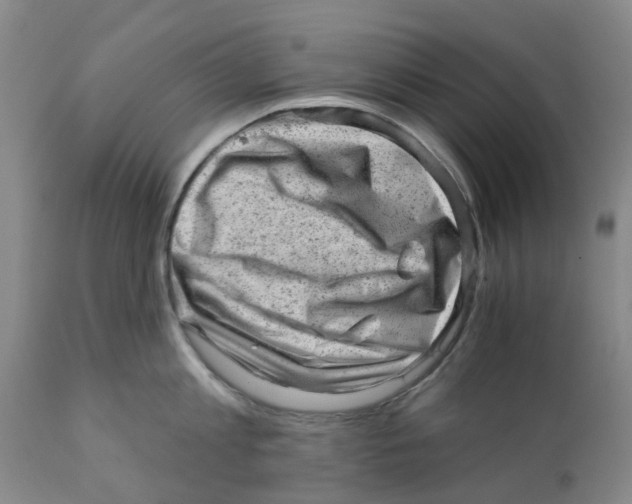 X0000111940813200908241139